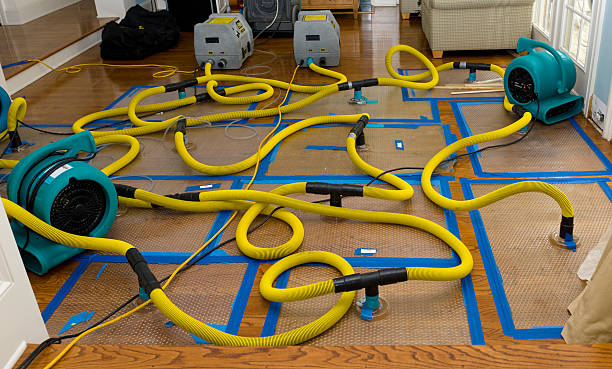 Professional Water Damage Repair technician working in Waite, ME